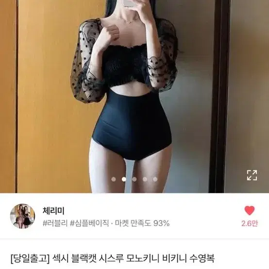 시스루 모노키니