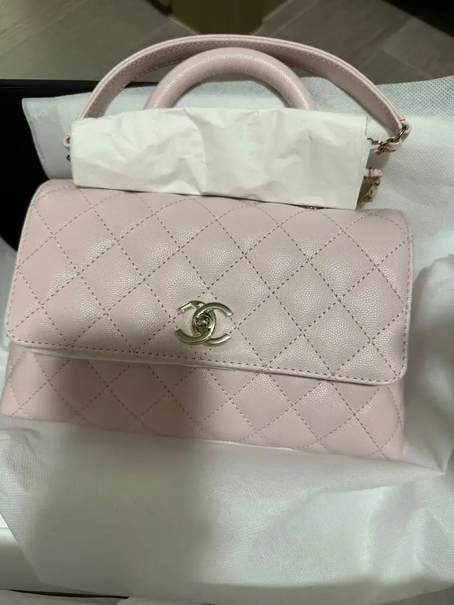 Chanel Coco Handles Small (Pink) sells