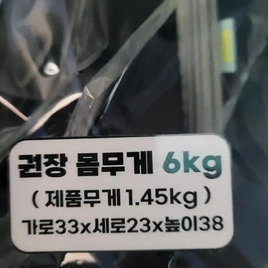 올치 어지서든백팩 애견가방 팝니다!