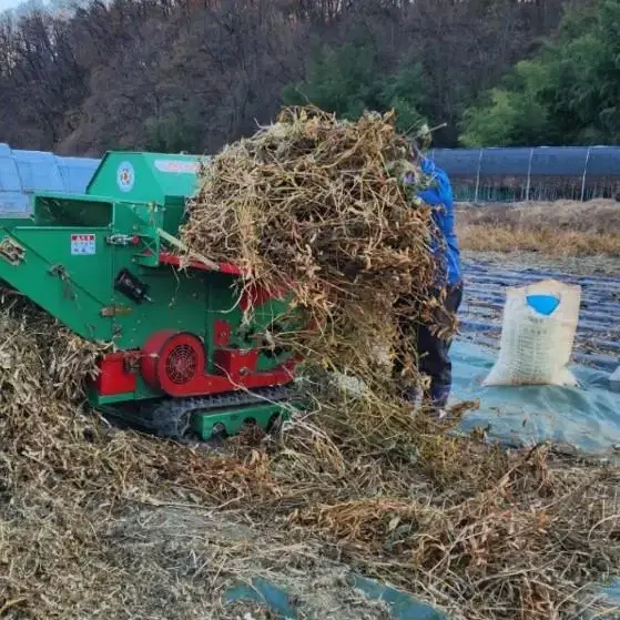 직접 재배한 서리태(검은콩) 판매!!