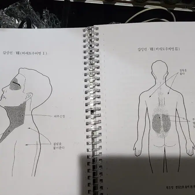 3h Smart 다기능 주열기 레이저 조사기 온열기