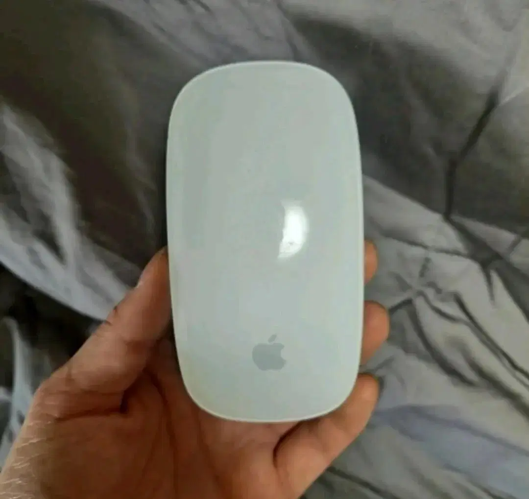 Apple Magic Mouse 1