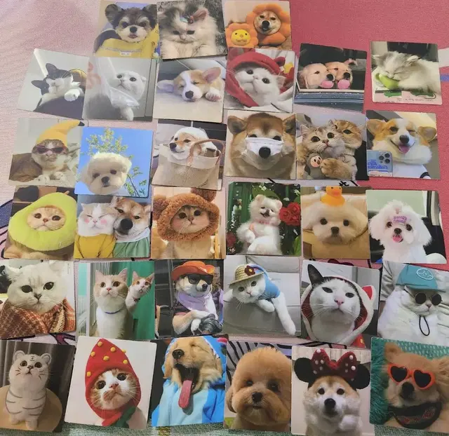 강아지,고양이 귀여운 조각스티커 20pcs