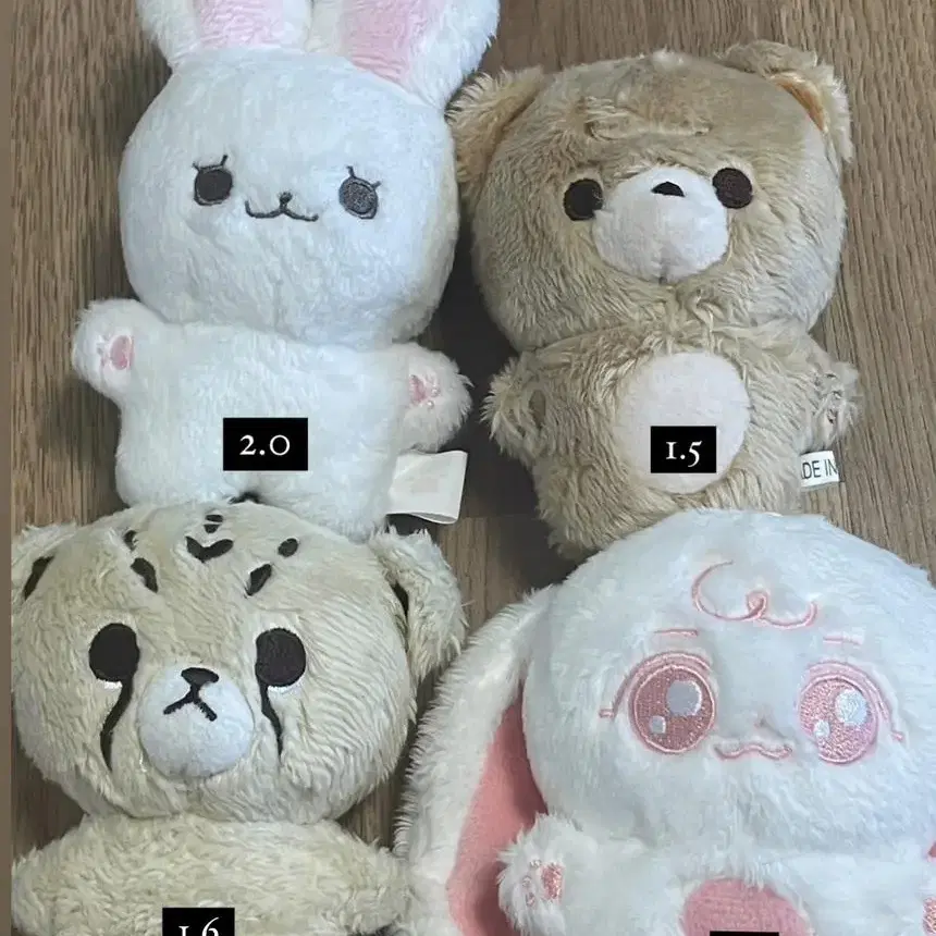 엔시티 10cm 40cm 인형 양도