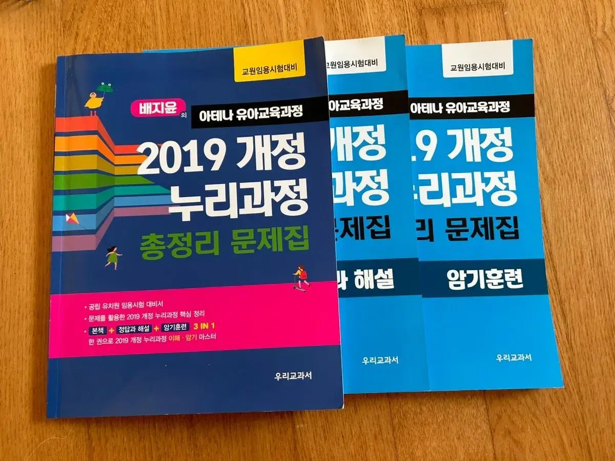 유아임용 배지윤 2019 개정 누리과정 총정리 문제집