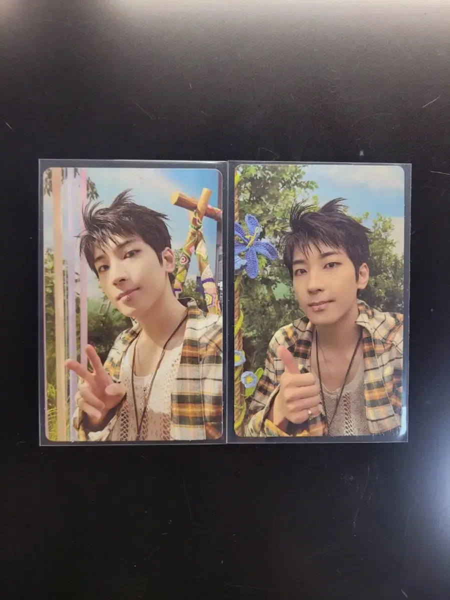 Seventeen wonwoo Heaven 2:14 Alpo soundwave ld bulk WTS