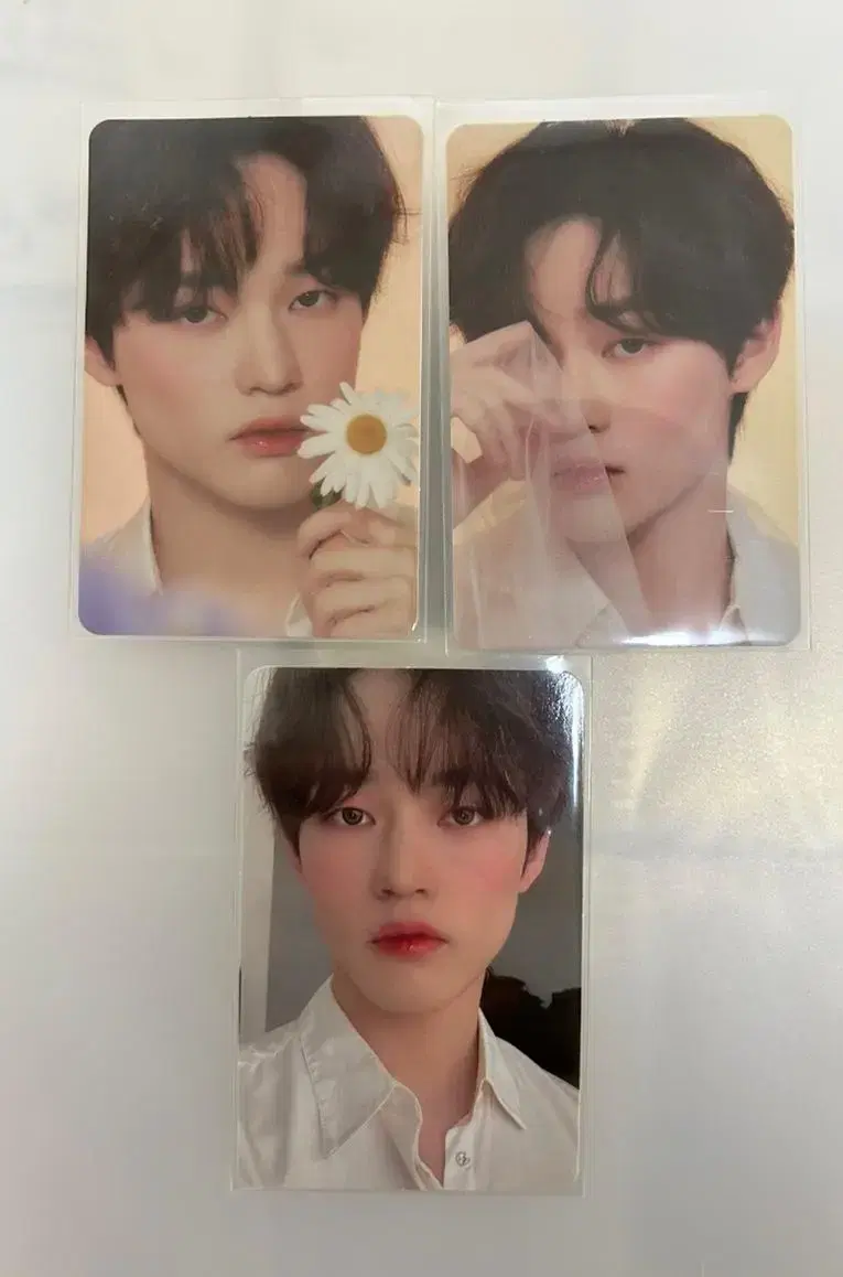 Candy LabsChenleChenle photocardmarkJaeminJenoRenjunRenjun RenjunJisungJaehyunJisung Haechan