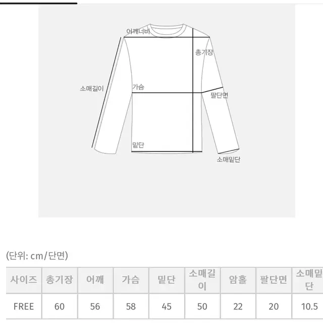 캐시울니트