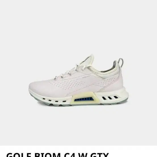 (새상품) 에코 골프화 GOLF BIOM C4 W GTX