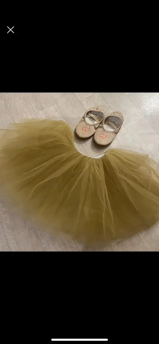 Ballet shoes + tutu