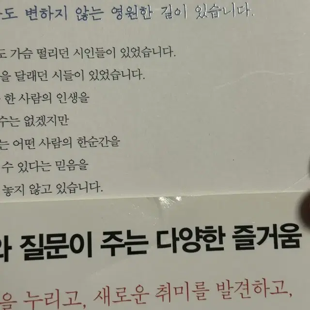 어쩌면 별들이 너의 슬픔을 가져갈지도 몰라