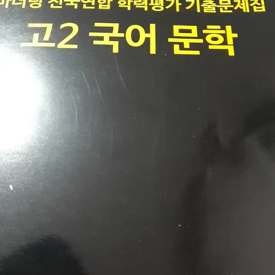 마더텅 문학 문제집