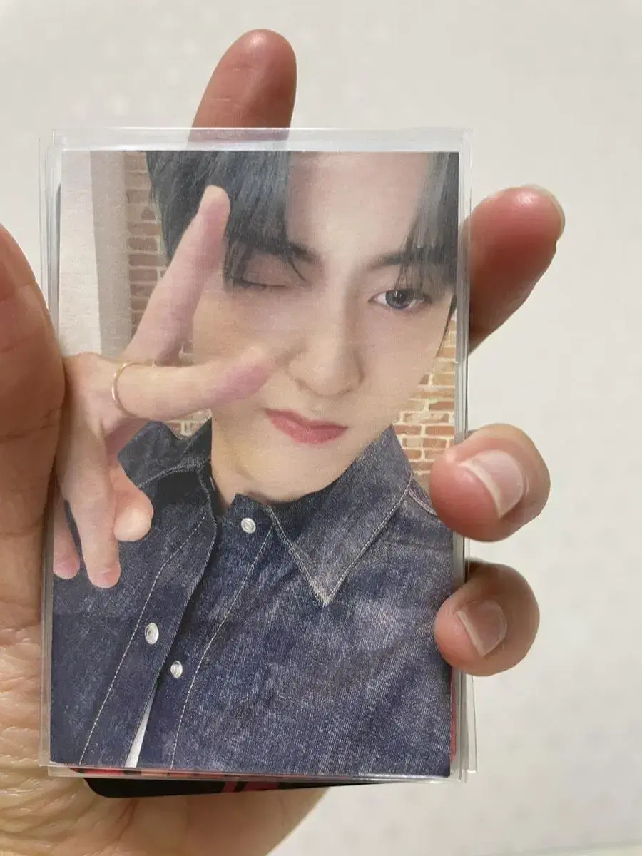 Treasure Trace TraceTmebus haruto photocard