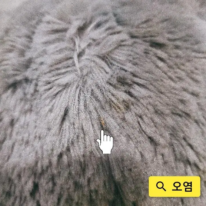 코스트코 Fur Real friends 퍼리얼 프렌즈 팻 부츠캣 인형