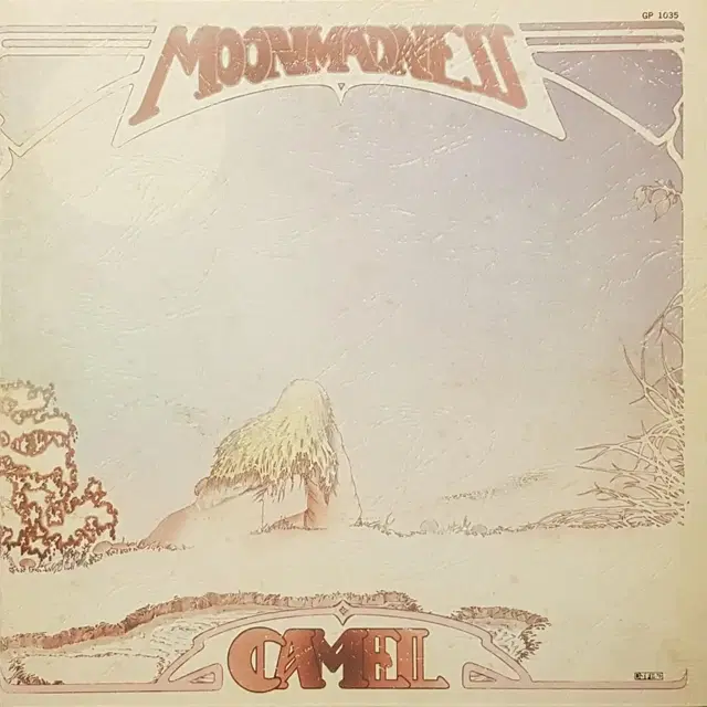 수입반/Camel 4집 - Moonmadness LP