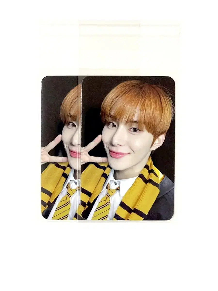 Arena Tools jungwoo pre-order benefit photocard WTS