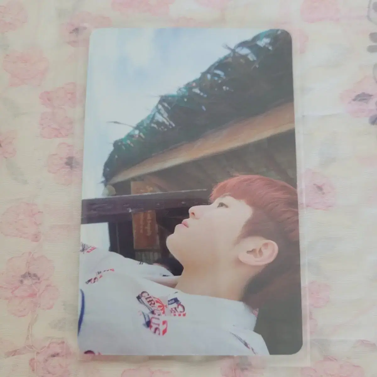 Seventeen official goods photocard (woozi)