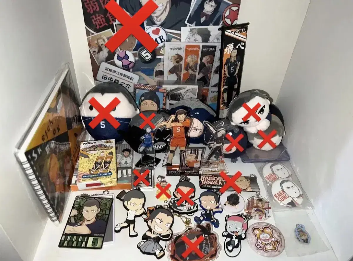 Haikyuu Tanaka Ryunosuke Goods