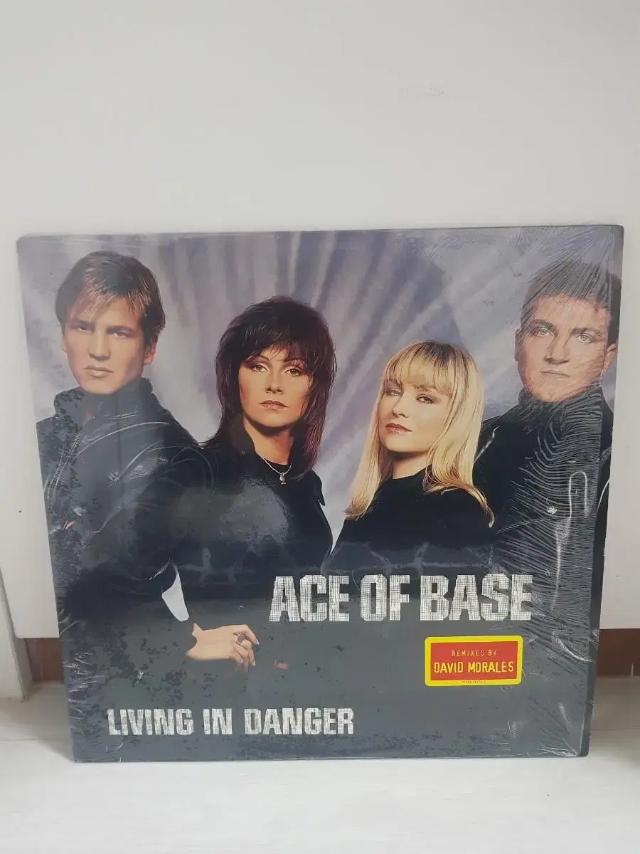 Ace of Base 미국 12인치싱글 바이닐vinyl 하우스음악 팝엘피