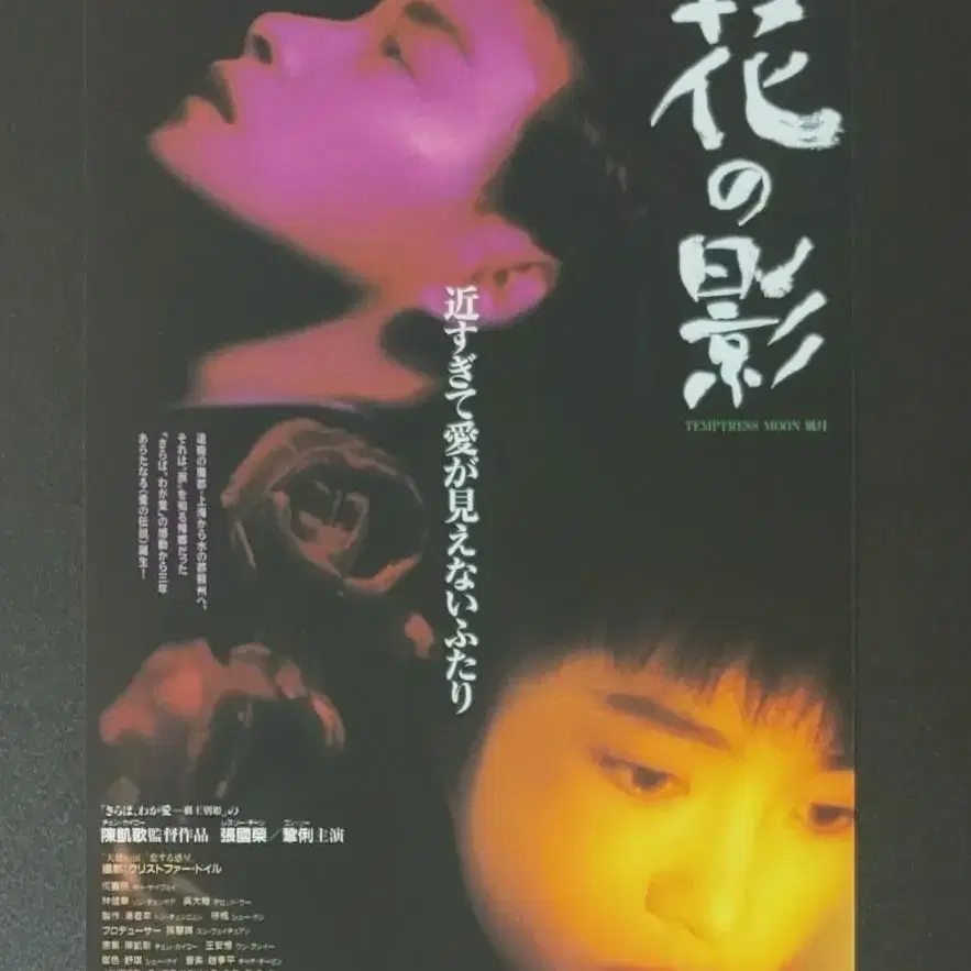 [영화팜플렛] 풍월 B 일본전단지 (1997) 장국영 공리 천카이거