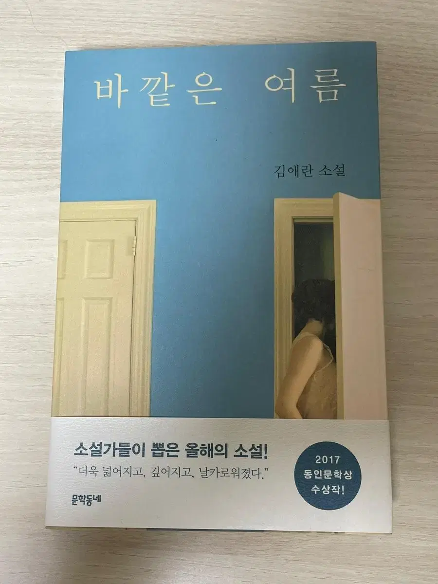 바깥은 여름 김애란 소설