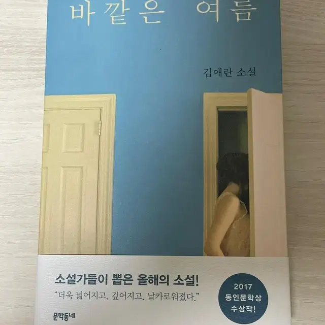 바깥은 여름 김애란 소설