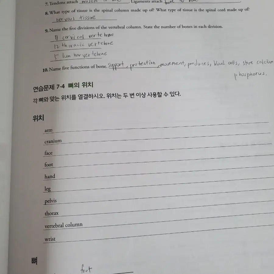 정문각  그림으로 배우는 의학용어