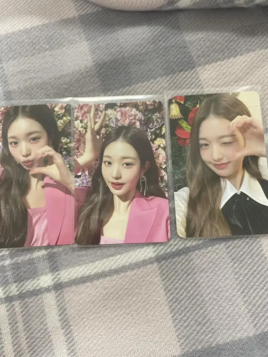 ive jang wonyoung fan con md bulk sold