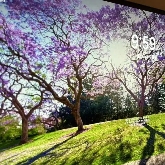 LG oled 모니터 27GR95QE 240hz