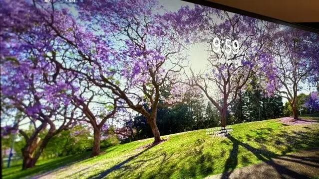 LG oled 모니터 27GR95QE 240hz