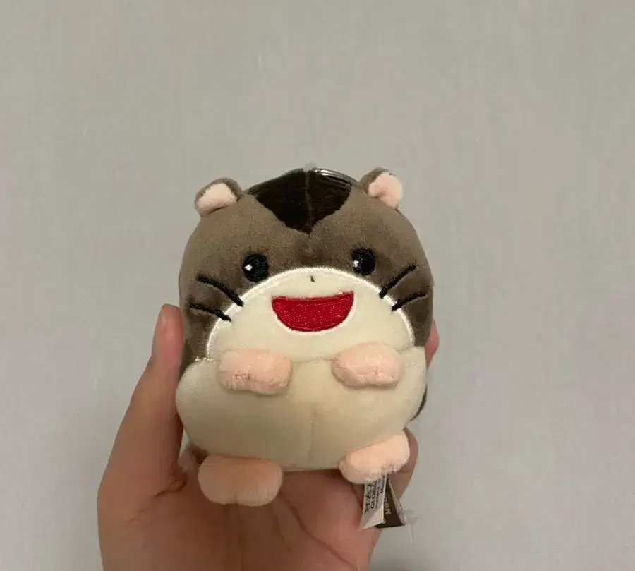 Thank you so much, Budrami, for the hamster doll.