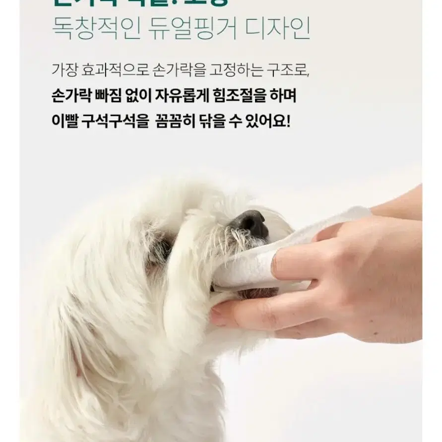 강아지고양이 손가락칫솔 양치