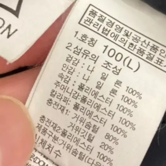 노스페이스 시에라 구스패딩 100