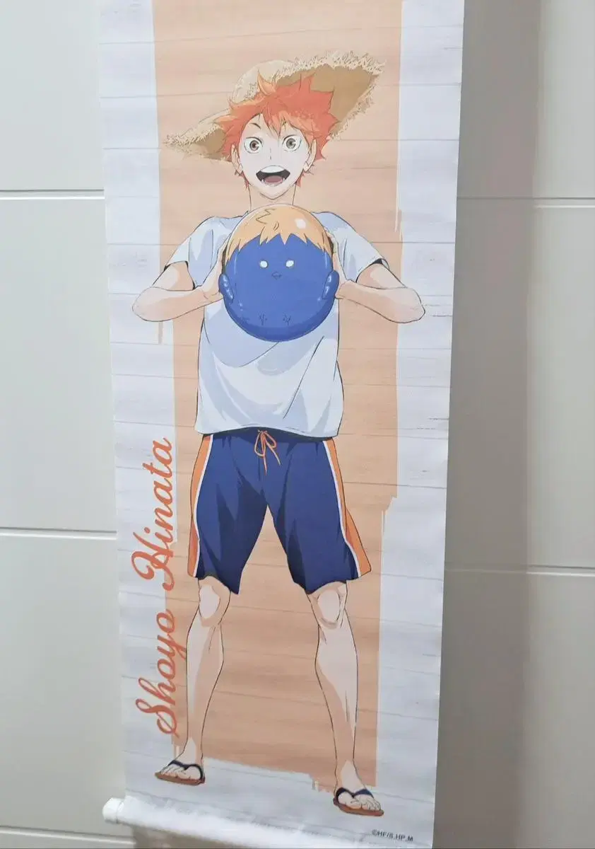 Haikyuu hinata yeoreum Tapestry