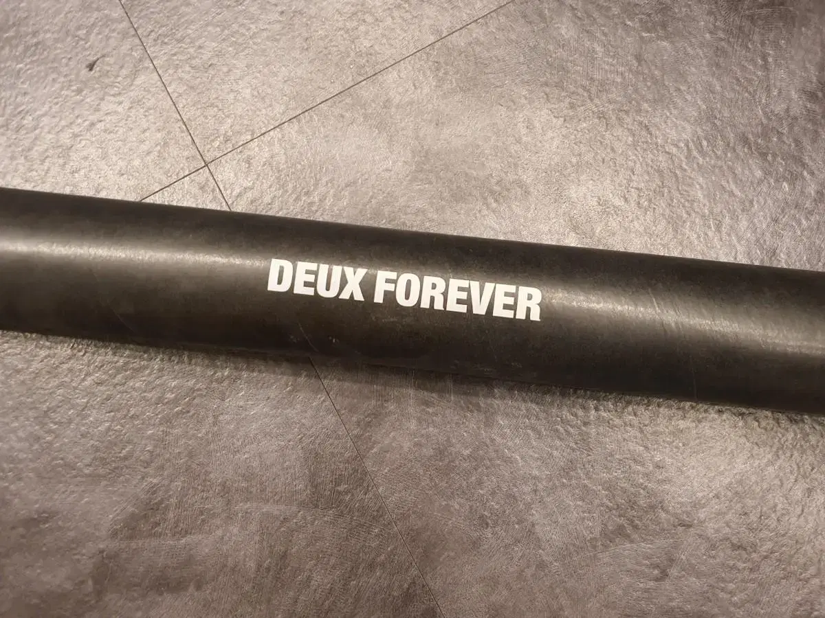 DEUX FOREVER 포스터 팝니다.