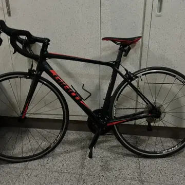 Tcr slr sales 2 2019