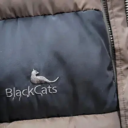 BlackCats블래캣츠페딩