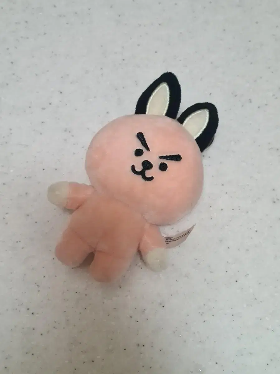 BTS bts BT21 Cookie ian Kookie