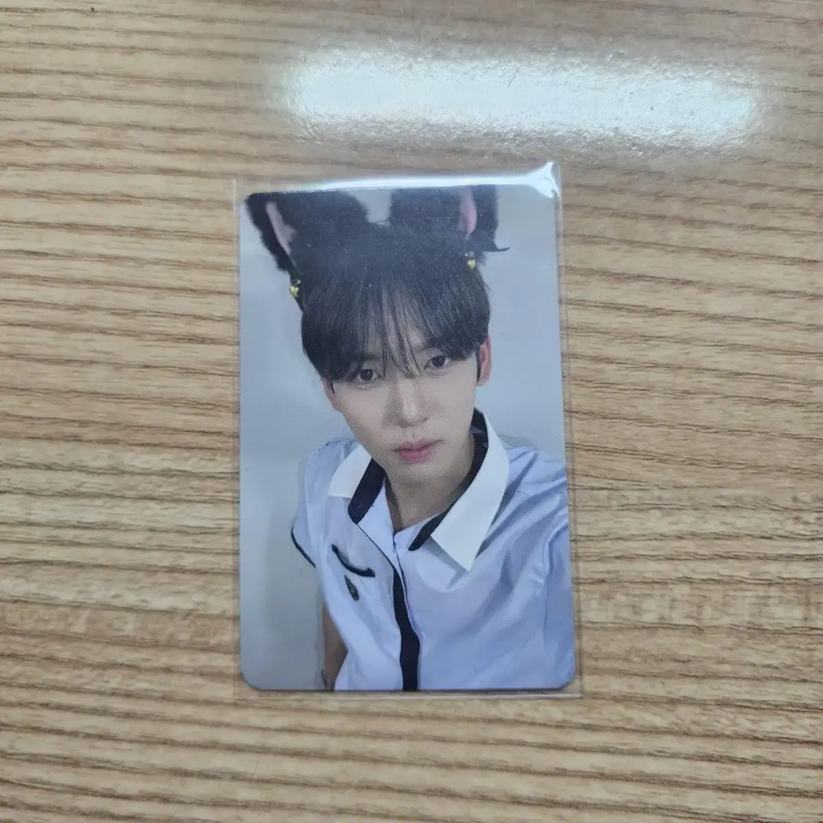 Makestar han yujin ld photocard wts