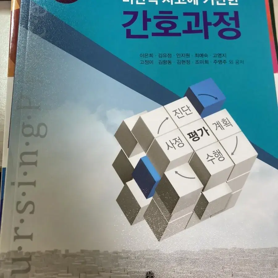 비판적 사고에 기반한 간호과정 고문사 이은희