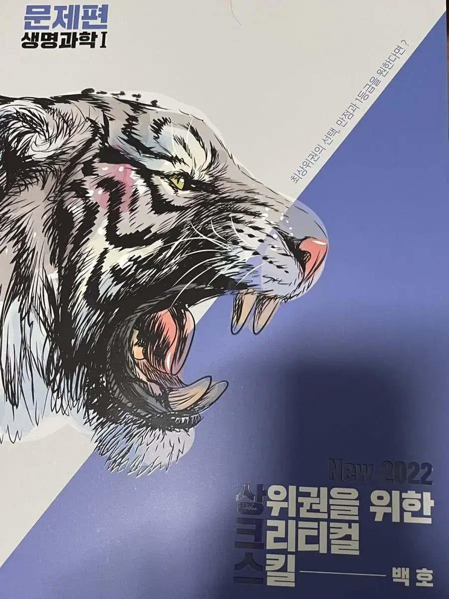 백호 상크스 2022