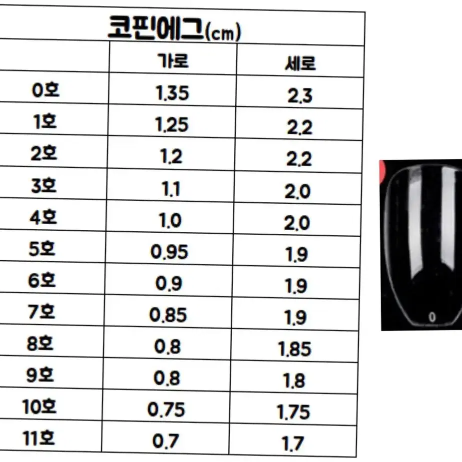 제투네일 와이도그네일팁