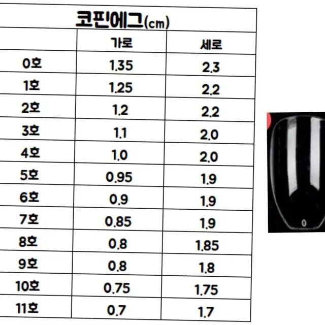 제투네일 토끼키링내일팁