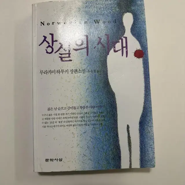 상실의시대 하루키