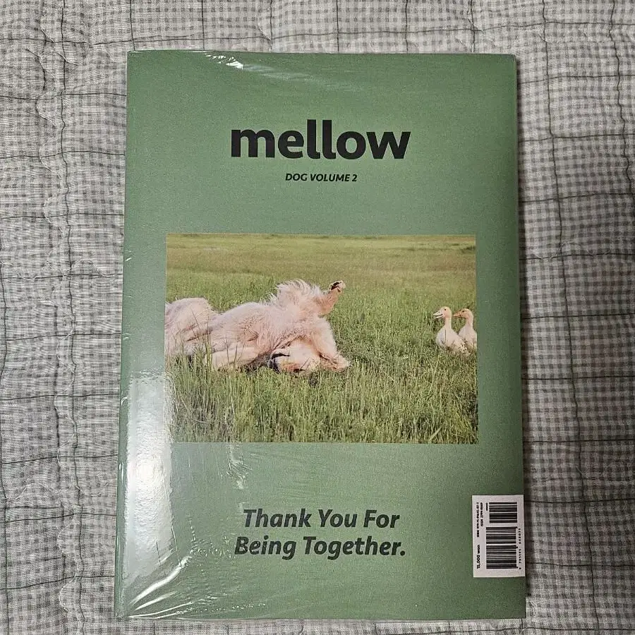 Mellow Dog Volume 2(멜로우 매거진)