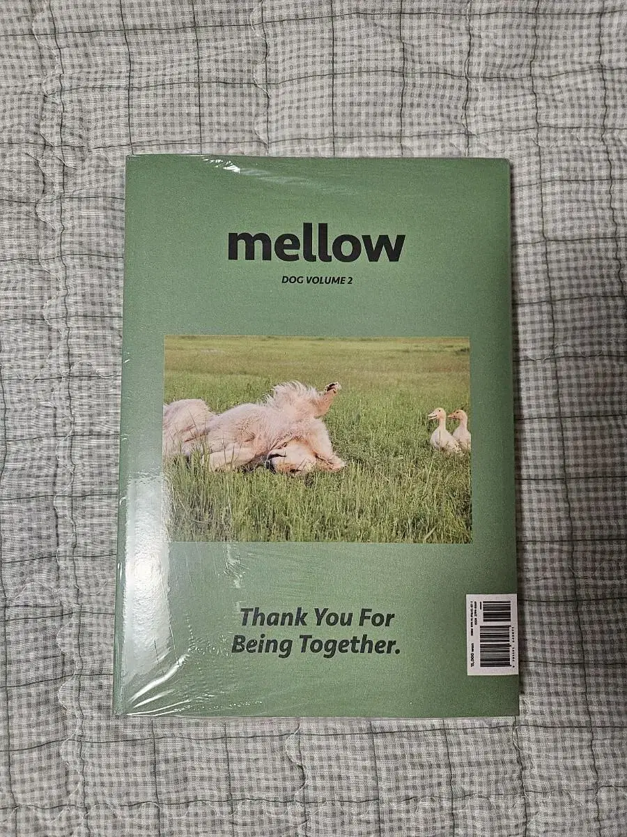 Mellow Dog Volume 2(멜로우 매거진)