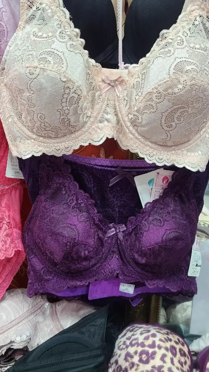 Women's bra B cup