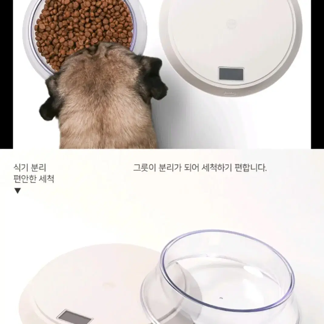 피단 체중조절 사료계량식기 강아지고양이