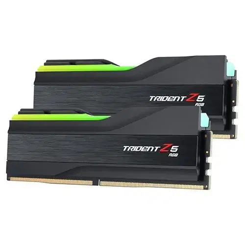 지스킬 트라이던트Z DDR5 7200MHz 32gb 블랙 튜닝램