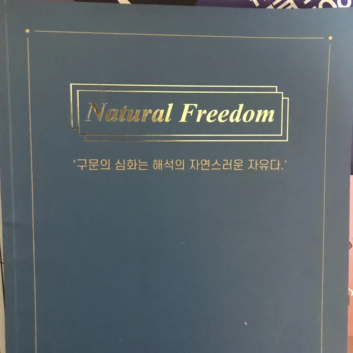 2023 션티 내추럴 프리덤 Natural Freedom